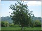 foto Colline tra Fonte Alto e Paderno del Grappa